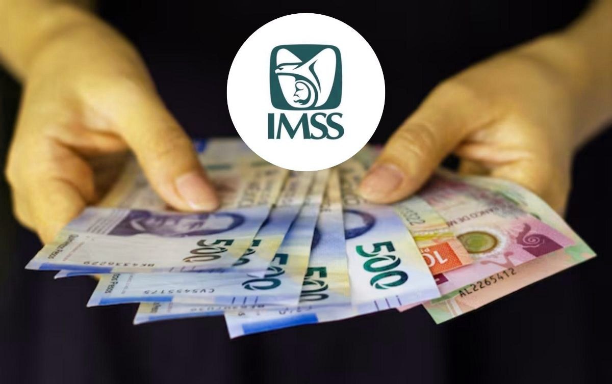 Pensión IMSS Ley 73: Cambios y futuro en 2026